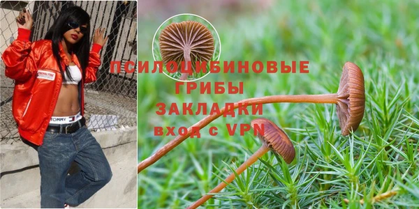 ГАЛЛЮЦИНОГЕННЫЕ ГРИБЫ Алексин