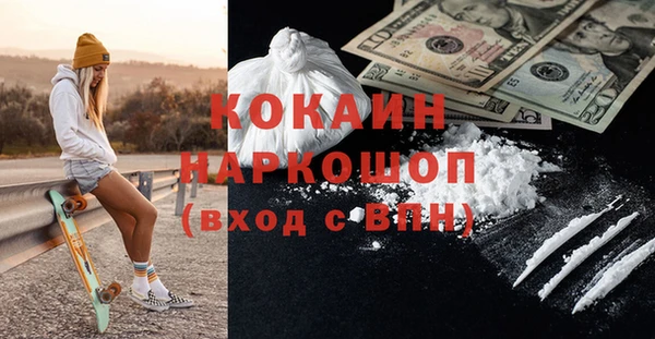 крисы Новокубанск