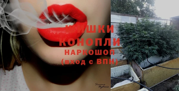 ГАЛЛЮЦИНОГЕННЫЕ ГРИБЫ Алексин