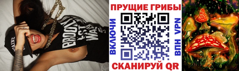 Псилоцибиновые грибы Psilocybine cubensis  купить   Протвино 