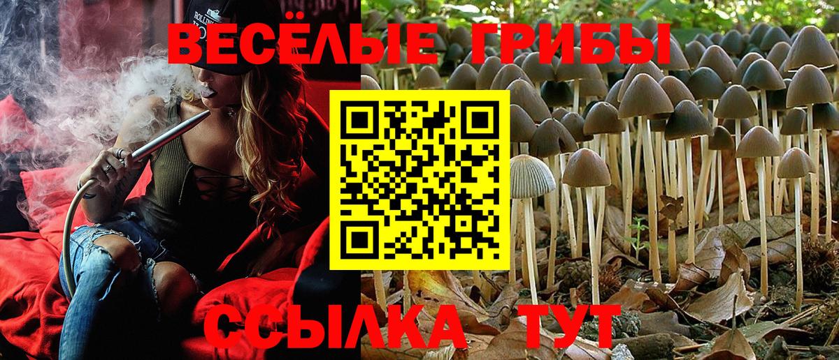 Протвино  Псилоцибиновые грибы прущие грибы  Псилоцибиновые грибы мухоморы  наркошоп  Вход с VPN 